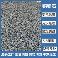 鹅卵石滤料鹅卵石5-8厘米变电站滤油河卵石景观河滩石铺路河卵石