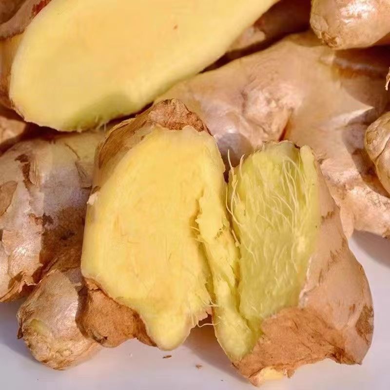 生姜批发价姜新鲜家用现挖老姜5斤月子姜土姜农家鲜姜大肉姜现货