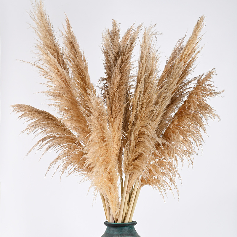 带籽芦苇干花 装饰花束摆件家居客厅卧室摆件 粉色落地装饰干花