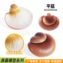 儿童仿真食品玩具模型蘑菇平菇香菇蘑菇菌菇蔬菜果蔬野菜拍摄道具