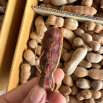 厂家直批 小弯角甜角 20斤散装 力汇牌 酸甜角 电商直供