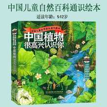 正版中国植物很高兴认识你全4册5-12岁儿童自然科普启蒙绘本本土