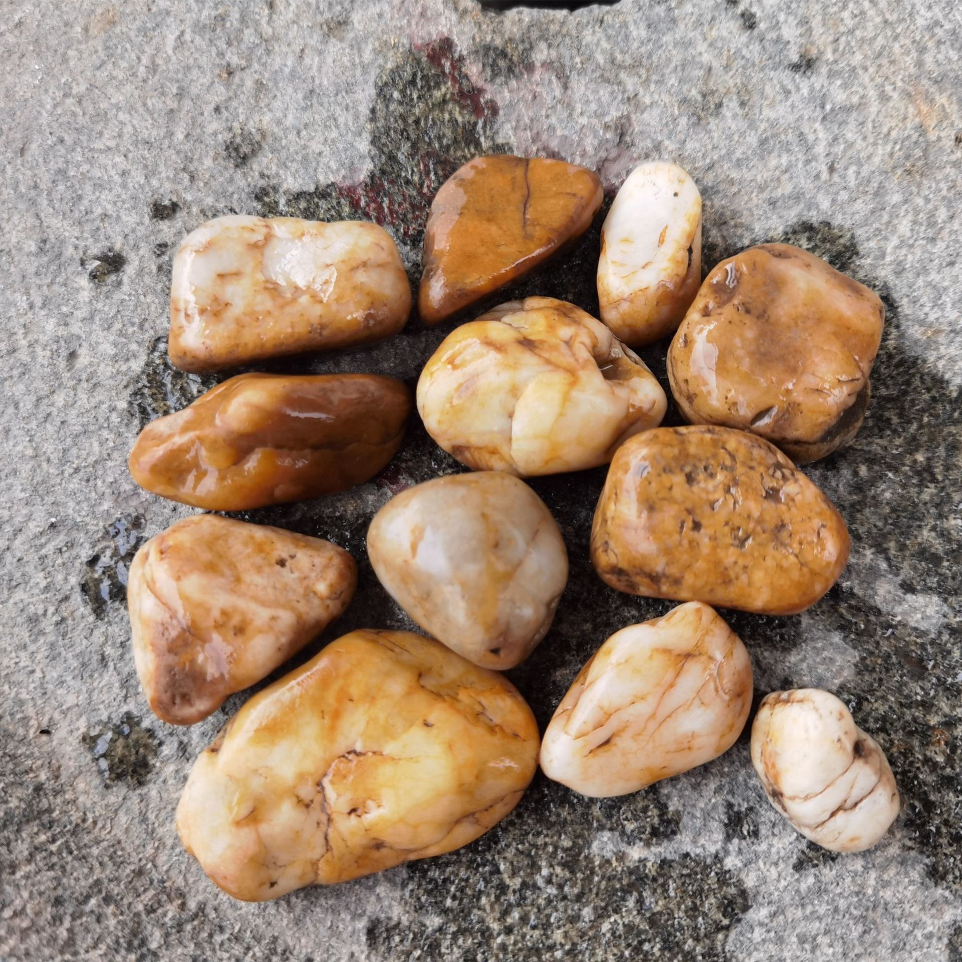 小号景观庭院鹅卵石广东厂家批发鱼池造景生态小石头