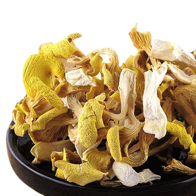 云南特产食用菌 鸡油菌人工鸡油黄新货榆黄菇黄丝菌供应酒店500克