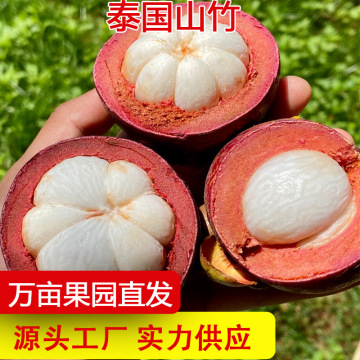 泰国进口山竹5a大果油麻新鲜应季水果甜糯孕妇水果新鲜油竹果三竹