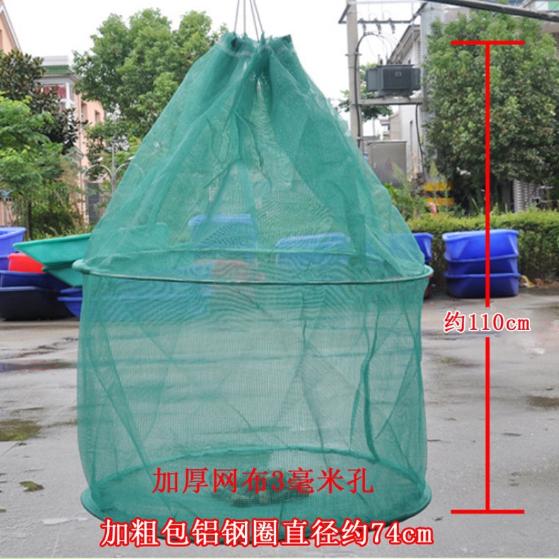 存鱼网箱暂养网兜速干养虾泥鳅黄鳝小鱼养鱼吊笼折叠鱼护-阿里巴巴