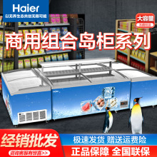 海尔（Haier）展示柜商用冰柜超大容量全冷冻超市便利店雪糕岛柜