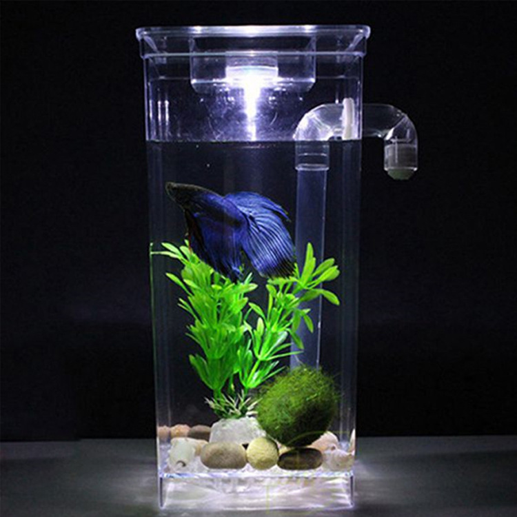 Myfun Fish Creative Mini Change Water Lazy Fish Tank Automatic Water Changing Filter Night Light Fish Tank