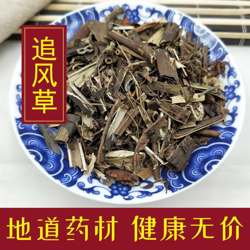 追风草图片功效与作用图片