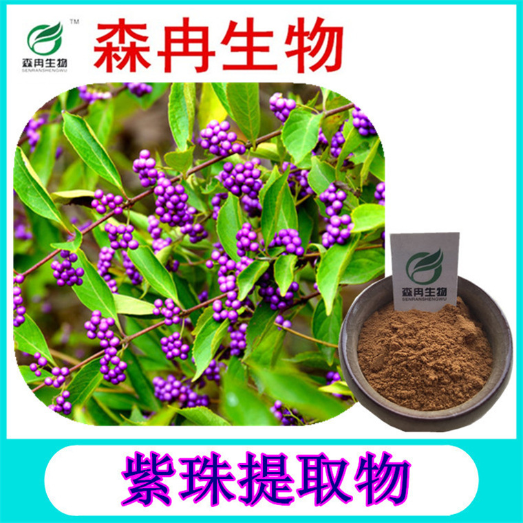 紫珠叶提取物 大风叶提取物 大叶紫珠提取物 现货供应