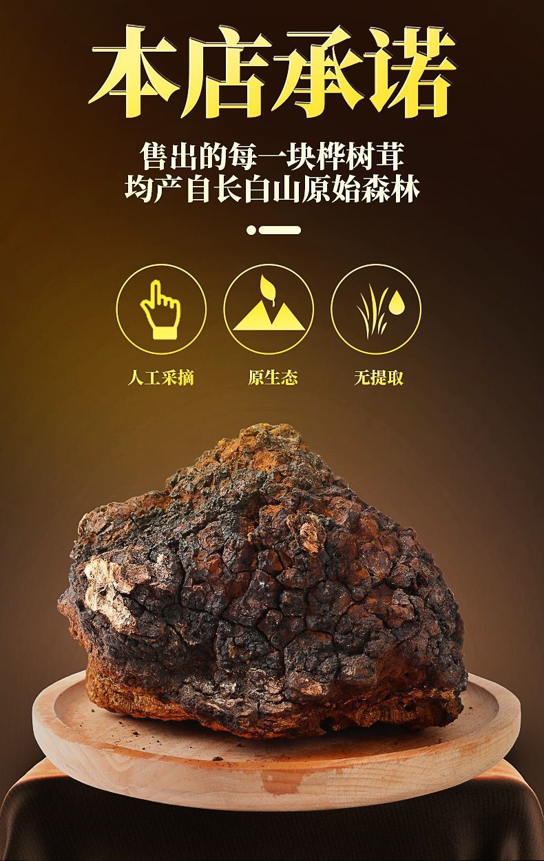 靠山庄长白山桦树茸100g不是野升俄罗斯近口黑金白桦茸茶桦褐孔菌