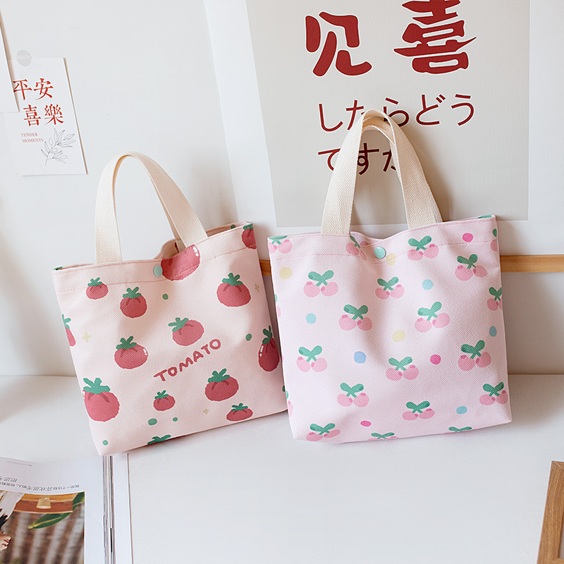 2022 New Fairy Handbag Student Lunch Box Bag Work out Hand Carrying Canvas Small Cloth Bag Handbag