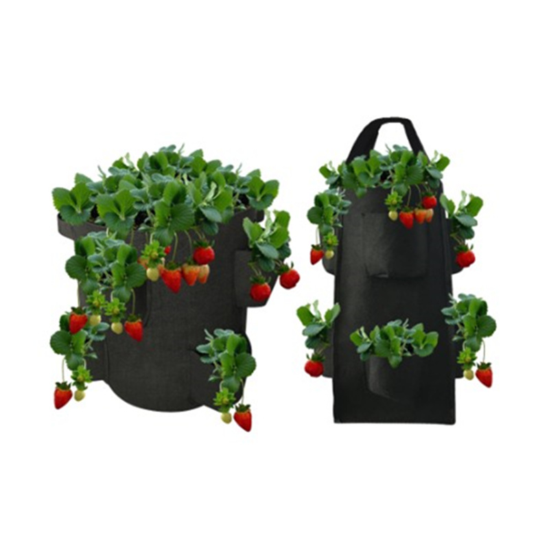 草莓种植袋挂墙户外立式种植开口菜盆悬挂式园艺毛毡无纺布花盆
