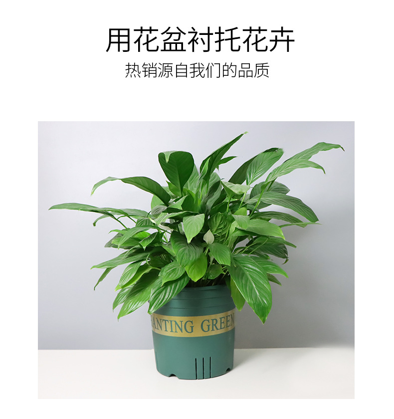 三代青山控根加仑花盆塑料绿萝月季多肉大口径塑料花盆加厚加仑盆