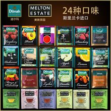 迪尔玛美敦茶园水果茶锡兰红绿茶24口味共24个独立茶包组合体验装