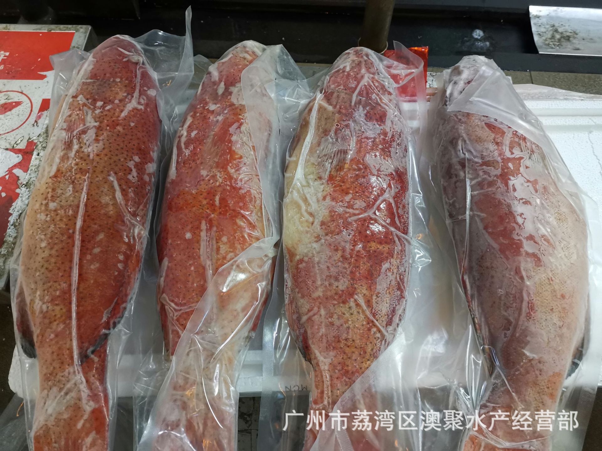 生冻鲜"东星斑" 超低温活冻鱼类 酒楼餐厅宴席食材批发1~4斤/条