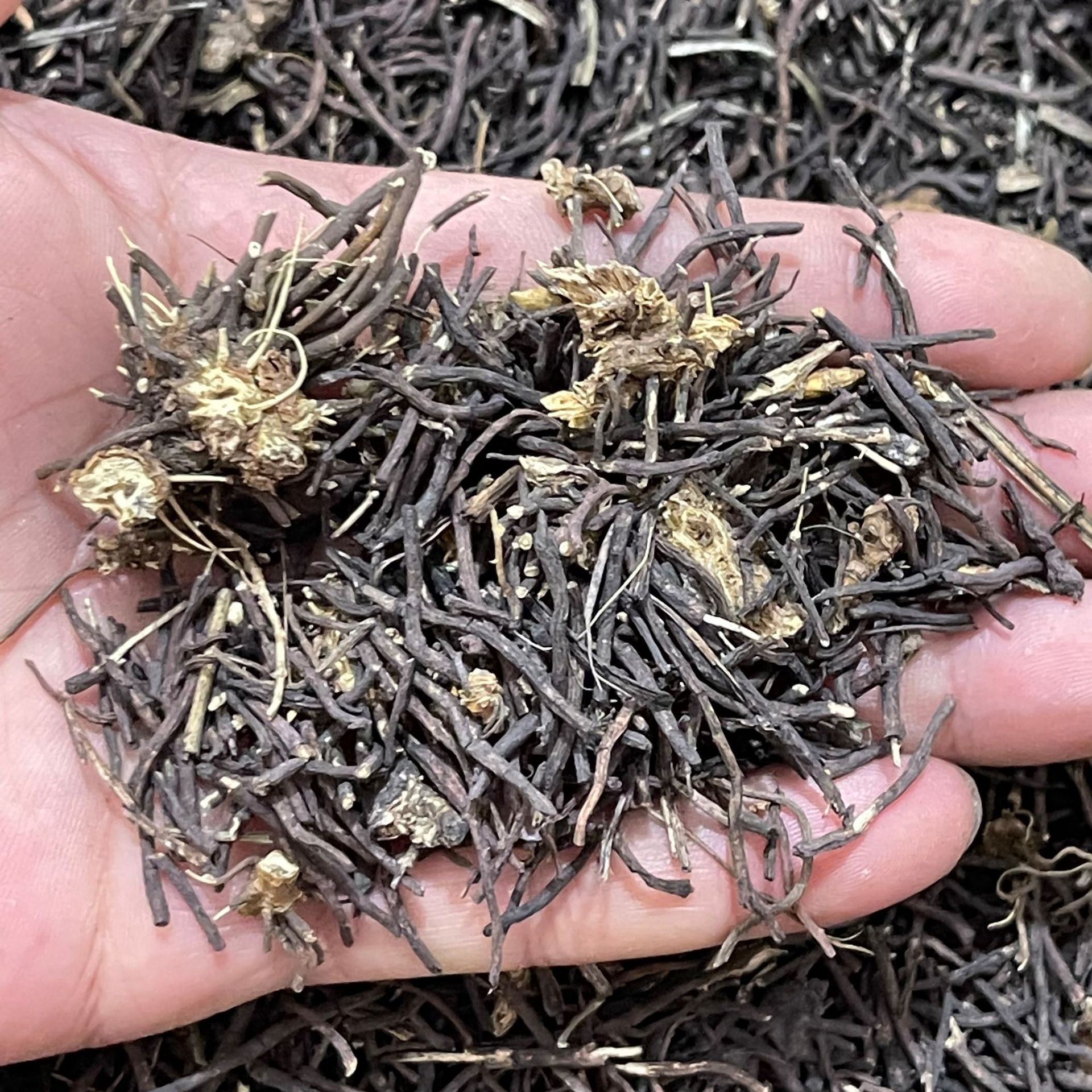 批发中药材威灵仙 灵仙 水洗无杂威灵仙 免费打粉 实物拍摄