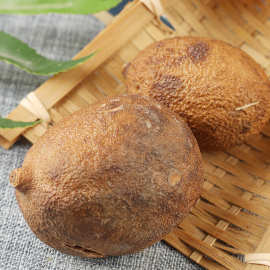 屈头鸡药材