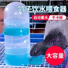 鸽子自动喂水饮水器水壶用品用具信鸽鹦鹉食盒食槽喂食喂鸟器批发