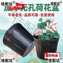 水盆加厚50只营养钵不漏水荷花盆睡莲盆水生植物育苗盆黑色一次性