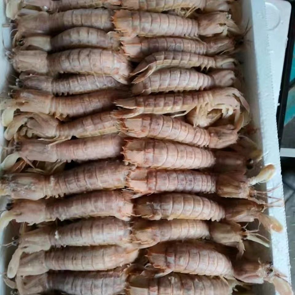 生鲜冷冻皮皮虾6斤虾帕子中号皮皮虾海产品酒店自家吃食材