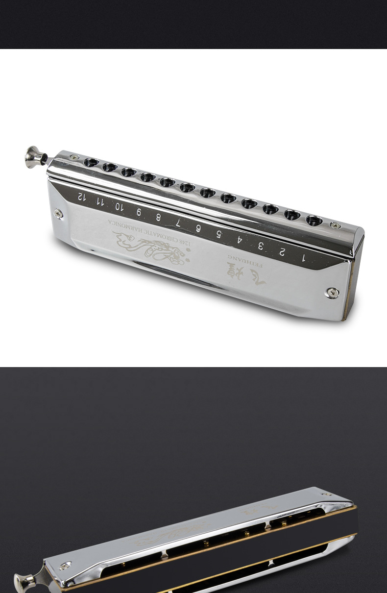 德国飞煌12孔半音阶口琴c调学生初学成人教学专业演奏级比赛乐器
