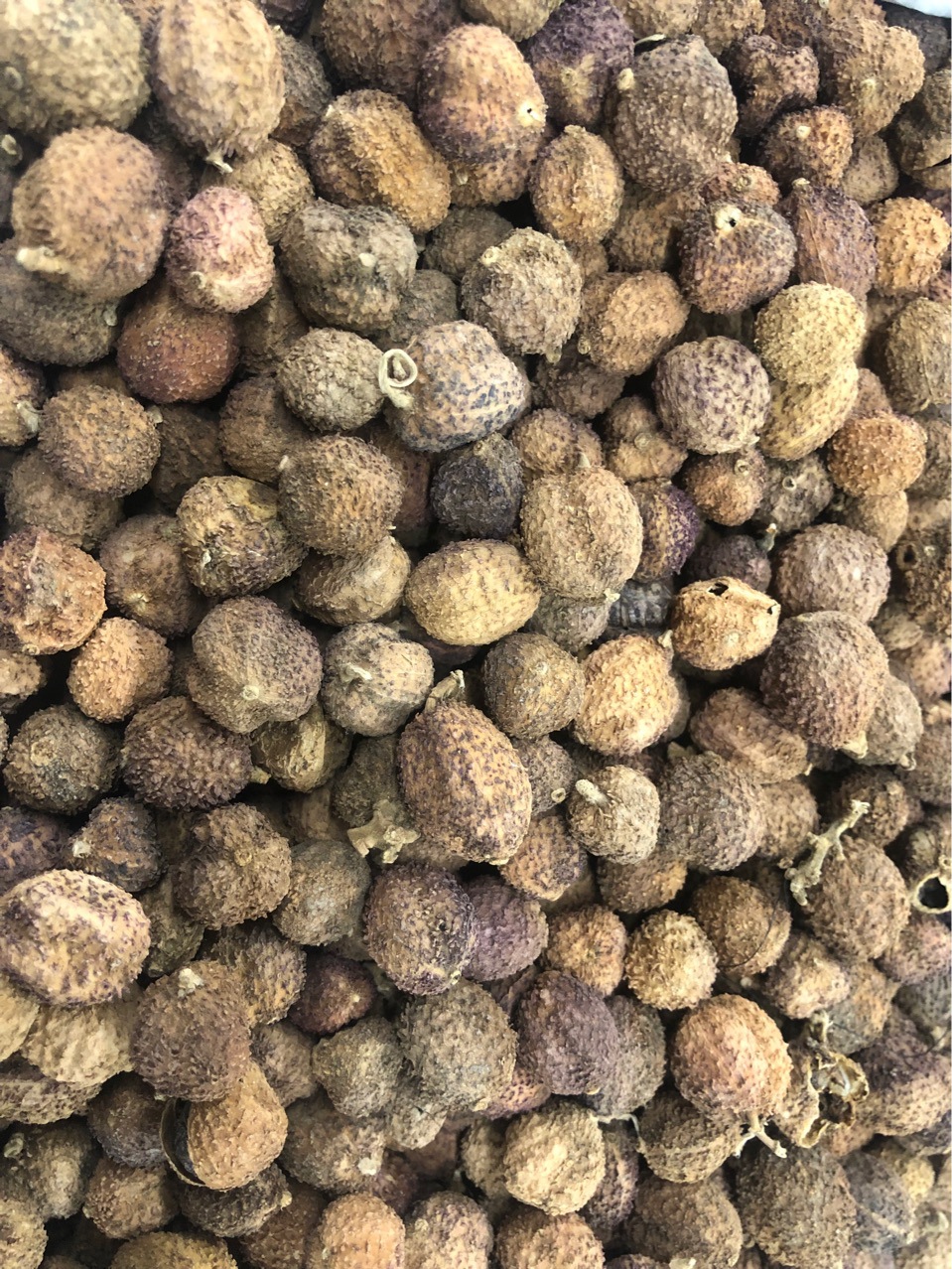 批发原药材阳春砂仁砂仁米砂仁各种规格代嚰粉