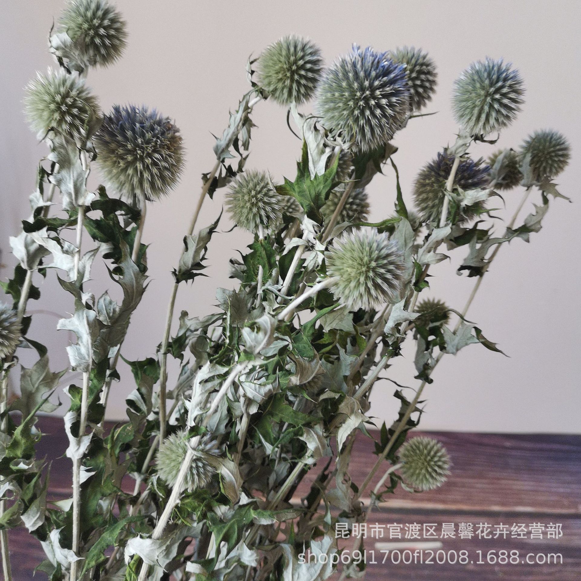 【干花蓝星球】北欧风蓝刺芹家居装饰蓝星球刺果干花-阿里巴巴