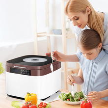 智能洗菜机家用活氧果蔬清洗消毒机去农残洗菜机多功能食材净化机