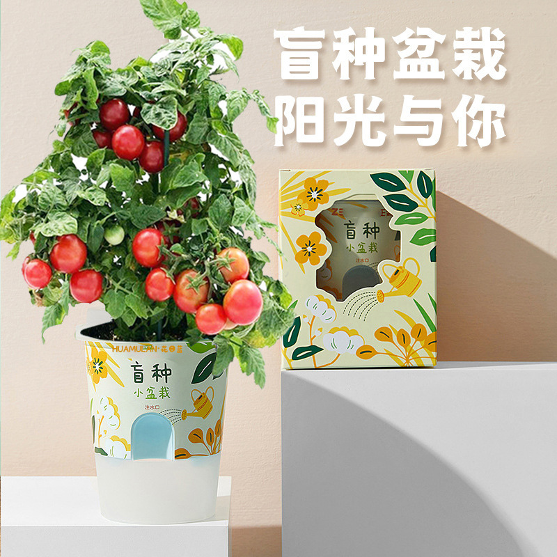 包邮儿童小盆栽diy种植植物生长观察 幼儿园学校活动礼物开心农场