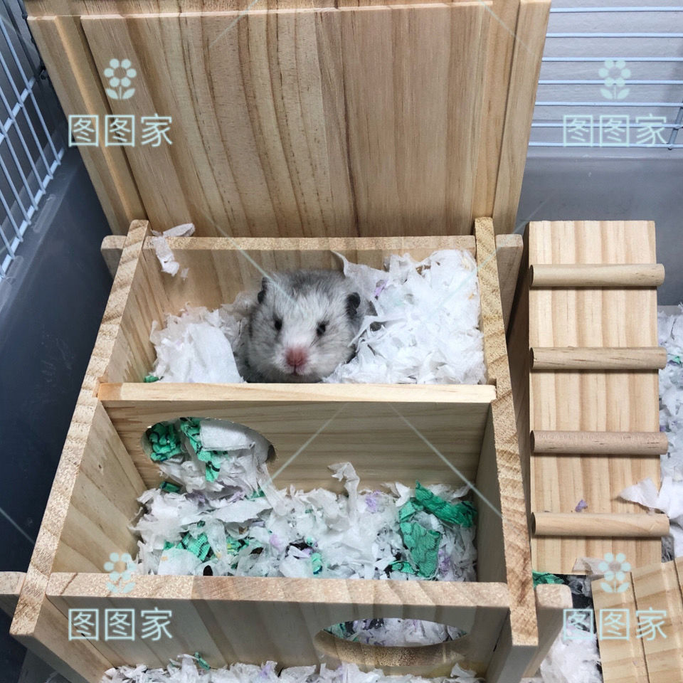 仓鼠两居室躲避屋金丝熊花枝鼠笼内造景家具屋窝小房子平台用品