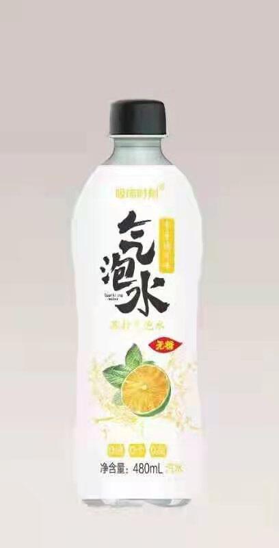 厂家供应苏打水 气泡水 白桃青瓜口味无糖饮料480ml整箱批发
