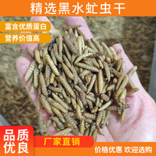 虫干宠物口粮零食黑水虻虫干补充营养可食用面包虫仓鼠小宠零食