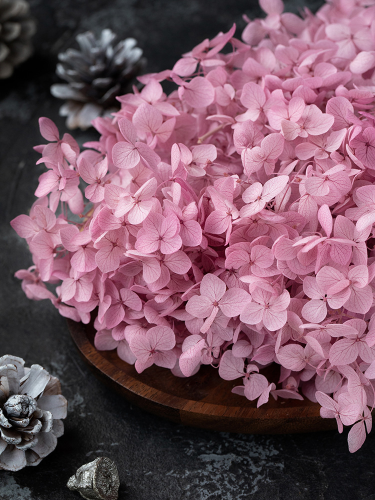 国产出口级a级安娜系列绣球永生花绣球广州进口永生花批发