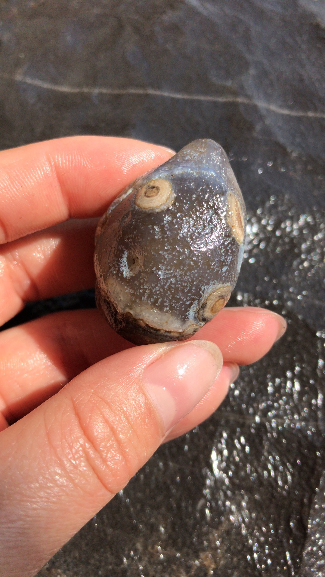 批发阿拉善戈壁原石玛瑙眼睛石单颗