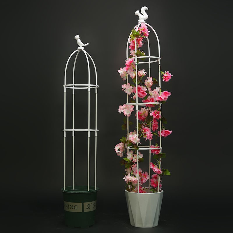 昙花专用支架月季花架园艺爬藤花植物铁线莲紫藤攀爬阳台欧式爬藤