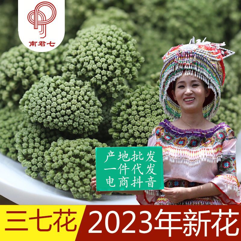 南君七文山三七花 2023年新花二三年田七三七花茶 云南文山田七花