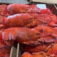 波士顿大龙虾熟冻波龙冷冻批发 整箱商用水产海鲜刺身日式料理