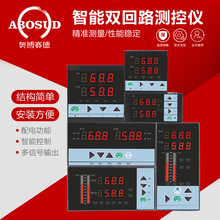 双回路双光柱温度压力液位显示控制仪两路显示仪表可带RS485通讯