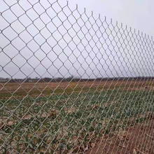 热镀锌钢丝网 养殖圈地钢丝围栏网 防锈铁丝网 圈羊网 钢丝网围栏