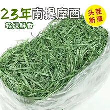 23年烘干南提提摩西草毛重1000g包邮兔兔龙猫豚鼠荷兰猪饲料叶子