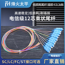SC/UPC12芯束状尾纤电信级12芯SC方头束状尾纤12芯FC圆头束状尾纤