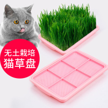 猫草盆跨境外贸猫咪用品猫零食猫薄荷水培猫草种植盒子排毛球玩具