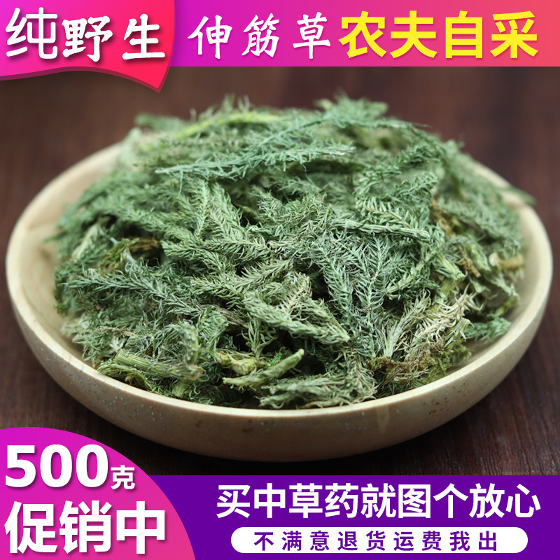 中药材伸筋草 野生伸筋草正品舒筋草泡脚另售远志益智仁500克包邮
