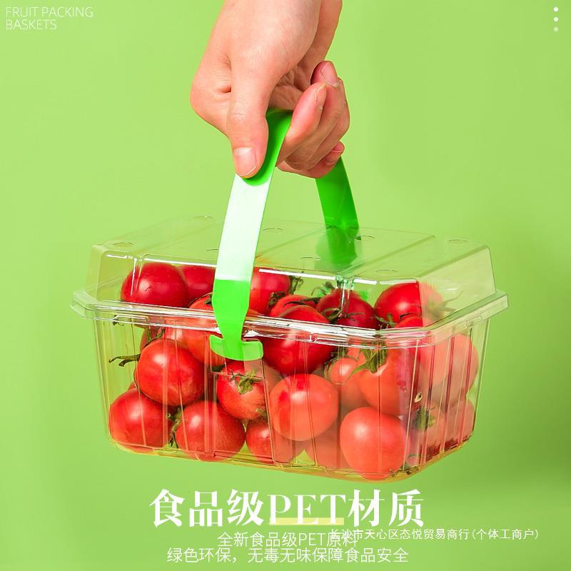 手提蓝一次性水果盒透明打包草莓冬枣荔枝采摘1斤2斤装塑料包装盒