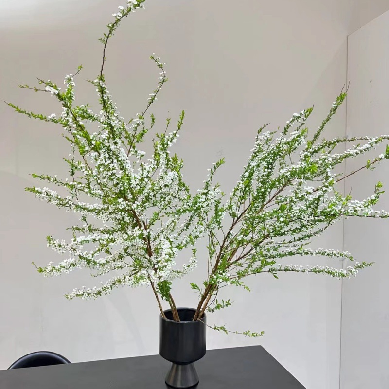 雪柳鲜花批发雪柳花雪柳叶鲜切枝年宵花雪柳干枝婚庆团购鲜花货源