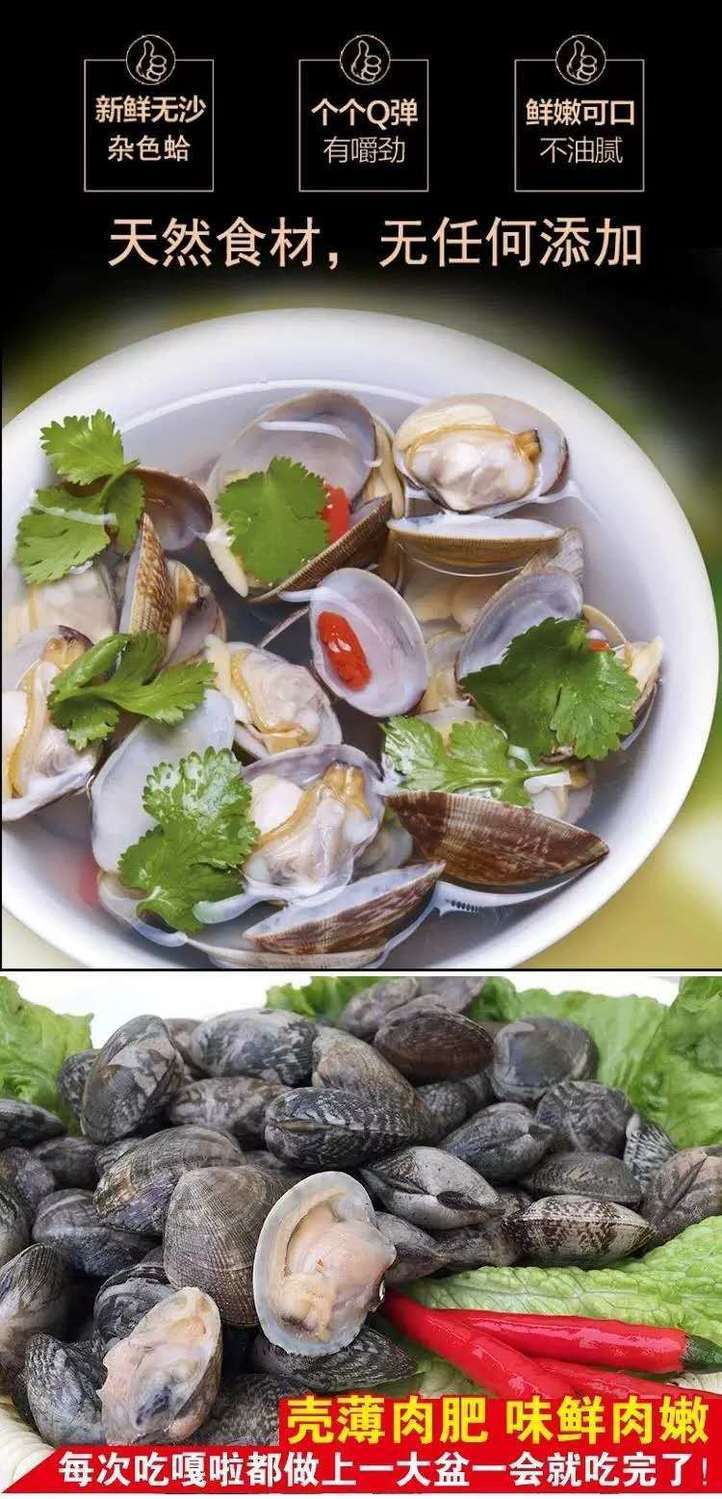 3斤装连云港海鲜新鲜花甲鲜活花蛤蜊花蚬子杂色蛤花蛤肉贝类