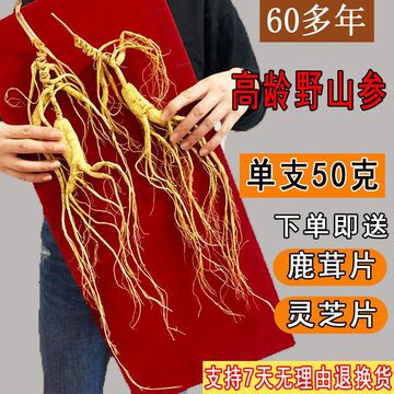 60多年野山参林下参一等品人参礼盒装干参泡酒长白山人参-阿里巴巴
