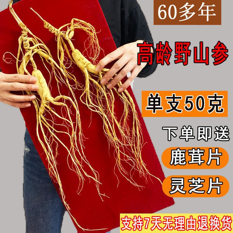 60多年野山参林下参一等品人参礼盒装干参泡酒长白山人参-阿里巴巴