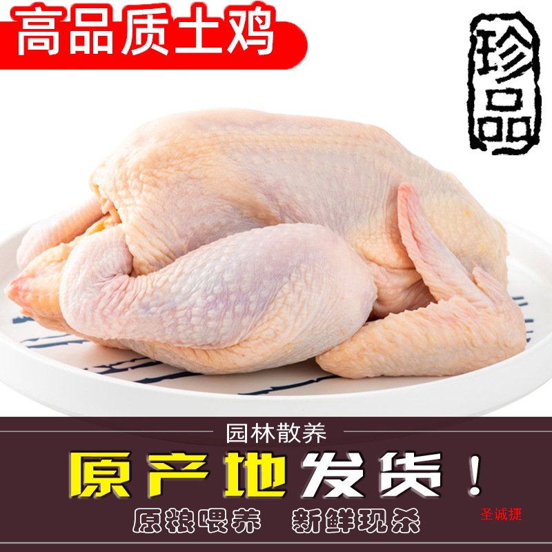 新鲜农家土鸡三黄鸡冷冻现杀童子鸡笨鸡整只包邮白条鸡生鸡肉草鸡